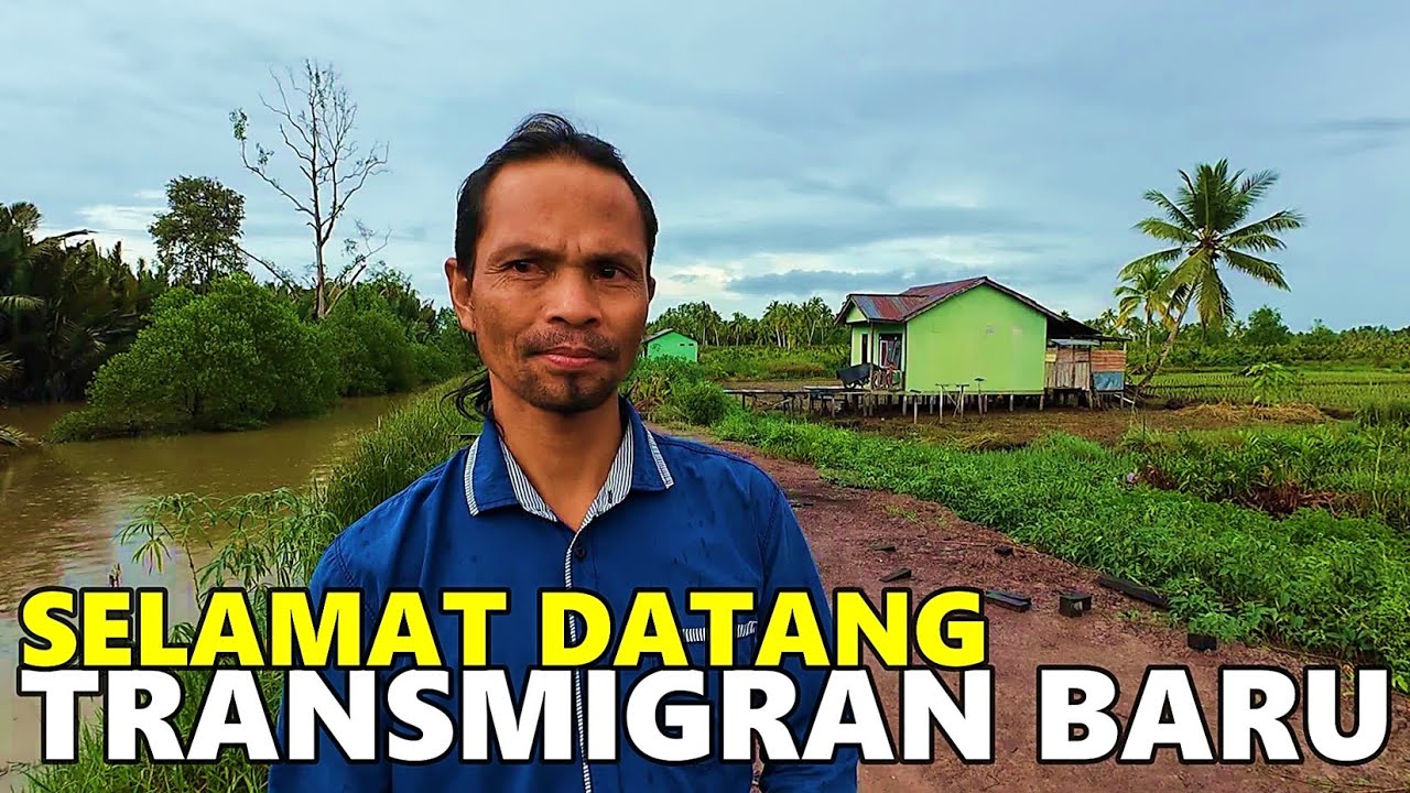 SEMANGAT TRANSMIGRAN BARU KELOLA LAHAN PERTANIAN DI PEMUKIMAN TRANSMIGRASI SP10 JALUR 2 TANJUNG BUKA