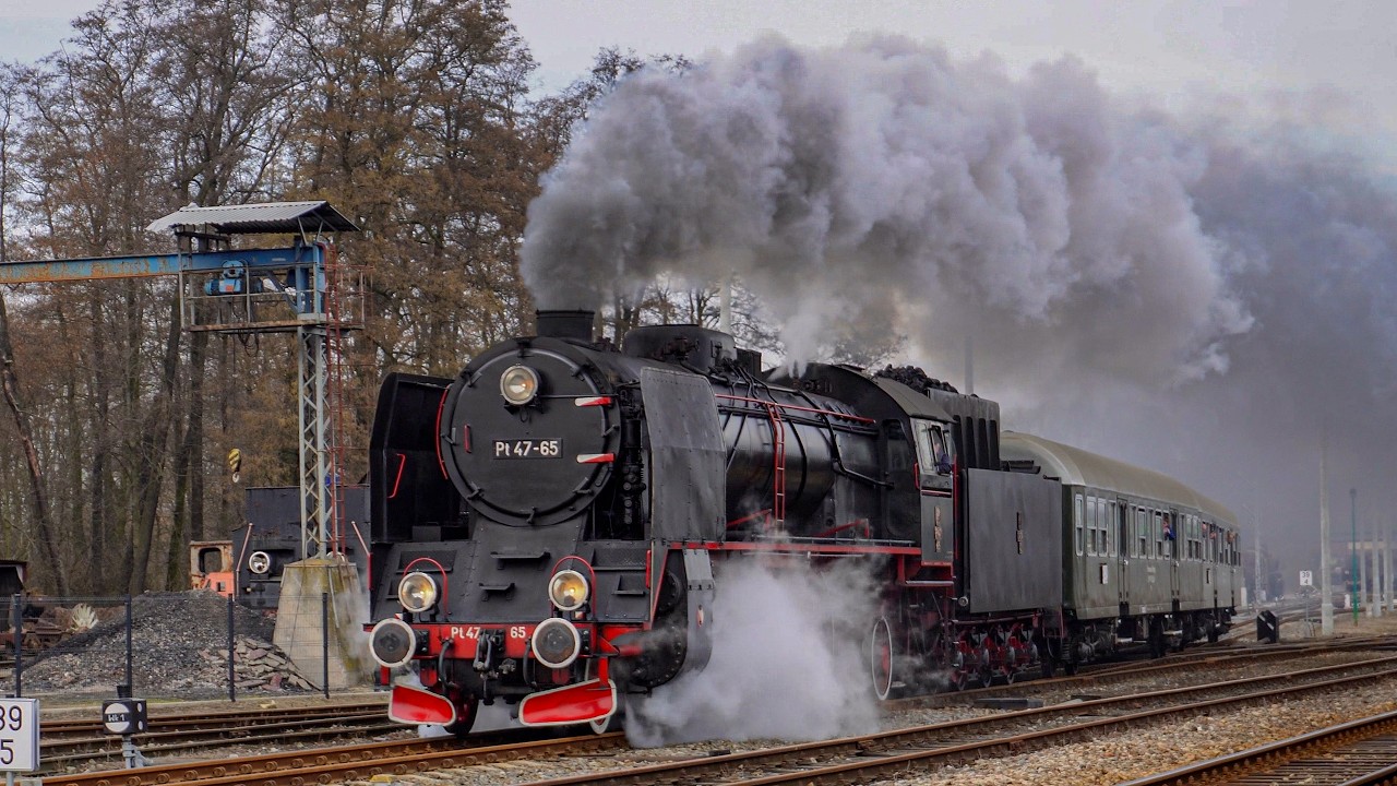 Pt47-65🚂 z pociągiem planowym do Poznania | Wolsztyn | 14.3.2026📅 10:46🕔
