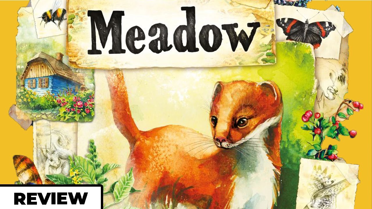 Meadow - A Beautiful Experience - Review