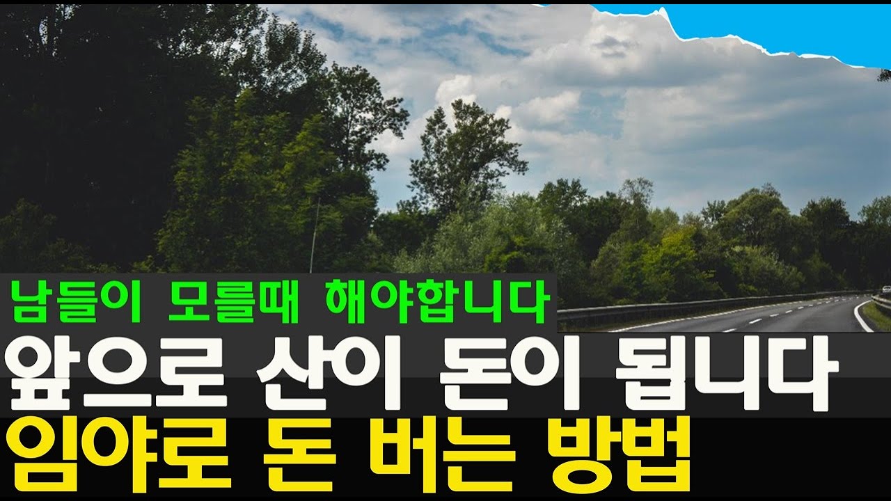 (이슈)임야로 돈버는 방법 알고 싶다면 이것부터 체크하세요 한국에서 땅부자가 되려면 산이 최고지!