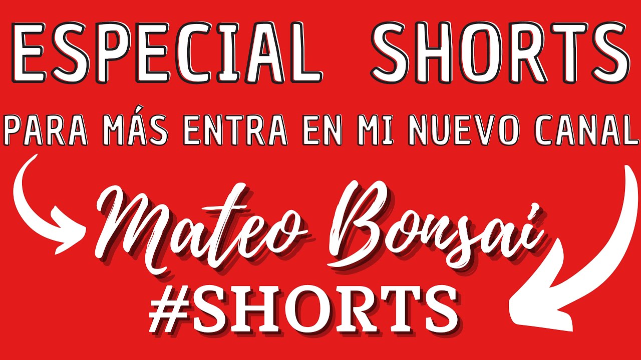 Bonsai Especial Shorts 3 Mateo Bonsai #Shorts