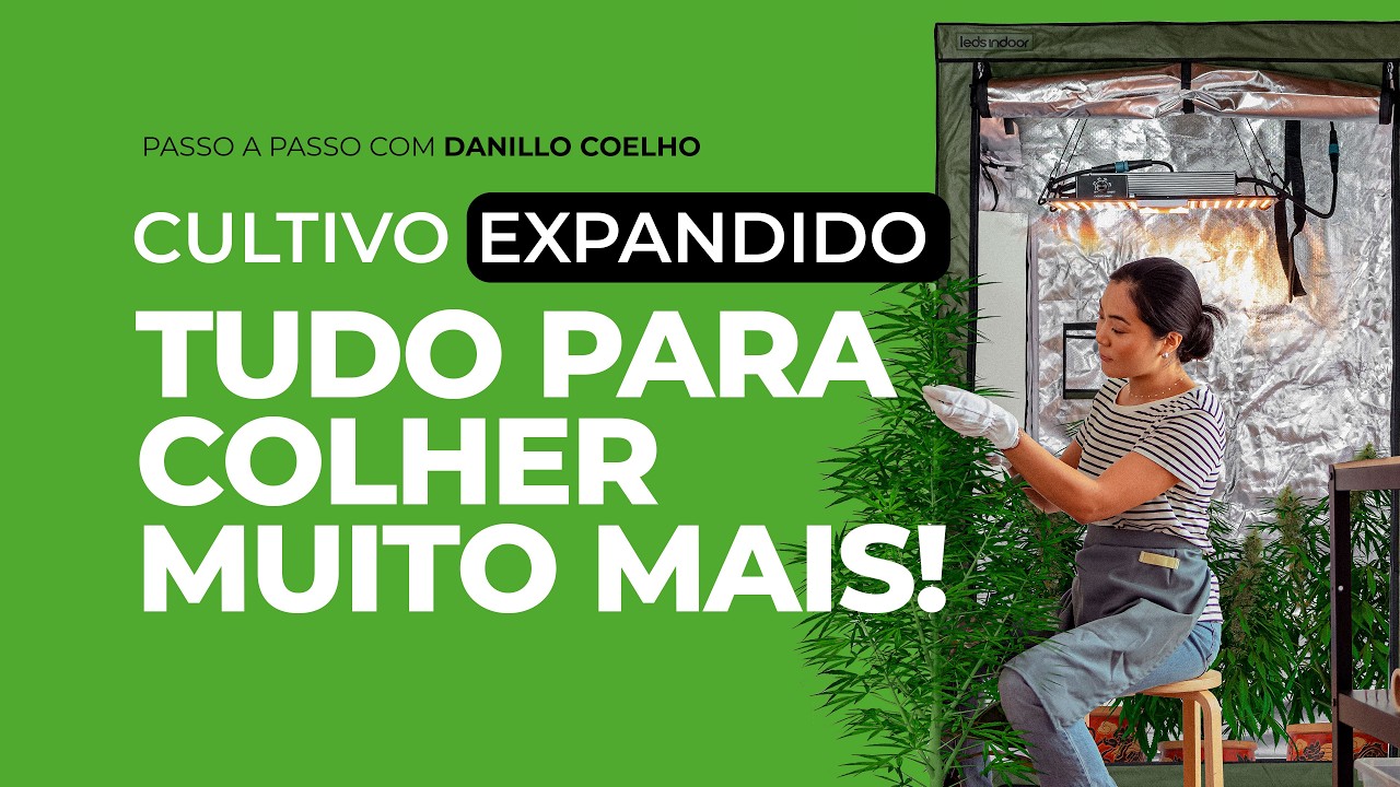 Kit Grow de Cannabis para Grandes Colheitas em Casa | Dicas e Equipamentos | Cultivo Avançado