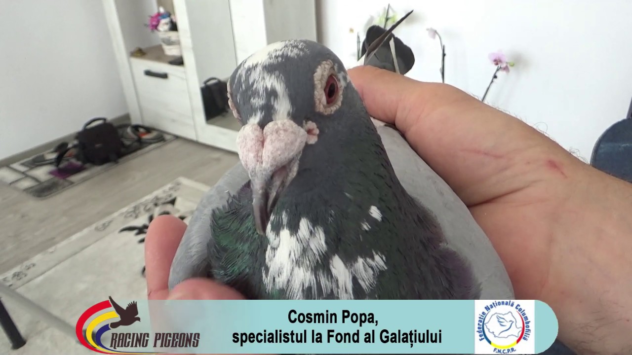 Cosmin Popa, specialistul la Fond al Galatiului