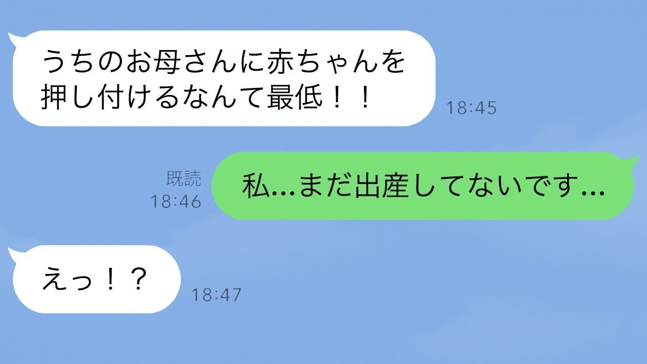 義姉「3ヶ月の赤ちゃんを母親に任せて何を考えているの！」私「え、私、出産していないんだけど…？」→この後、驚くべき展開が待っている…