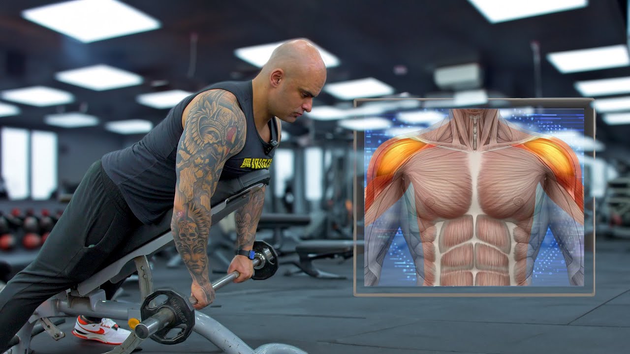 6 MELHORES exercícios para anterior do ombro