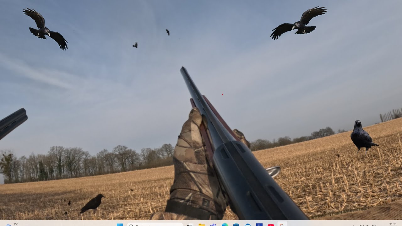 Chasse corbeaux 15 février 2025