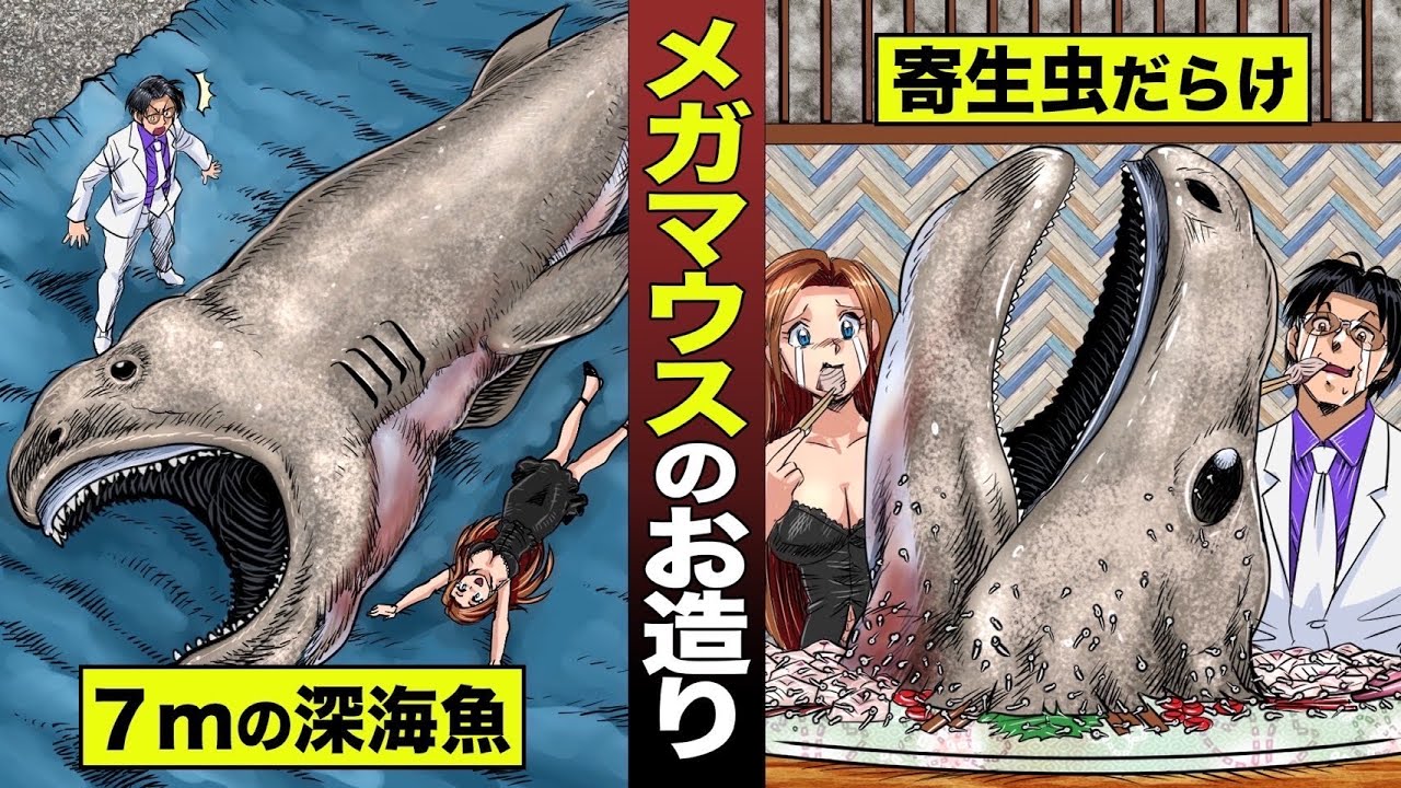【漫画】世界最大のサメ...メガマウスの刺身。寄生虫だらけ