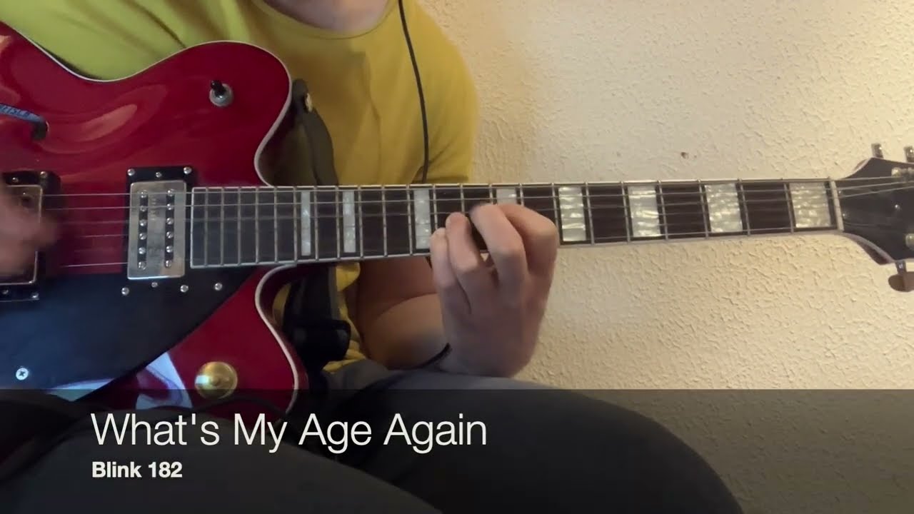 What's My Age Again - Blink 182 - Guitar Cover (Full Song)