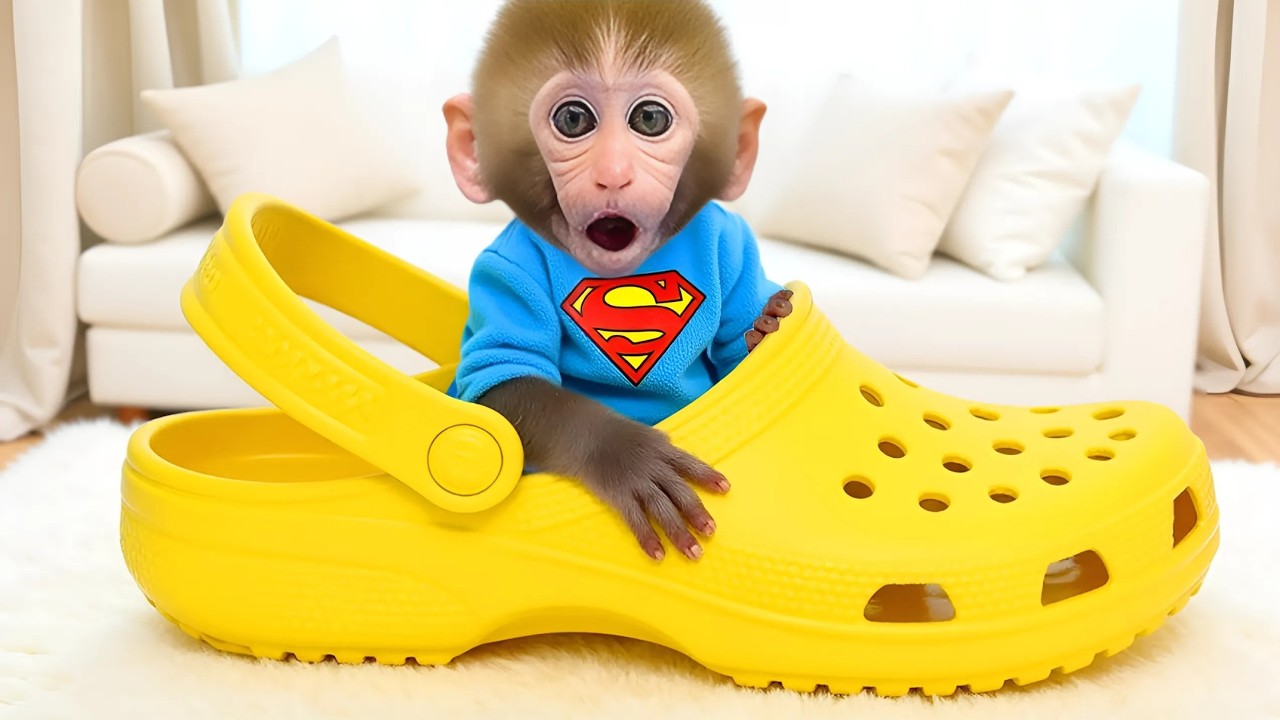 Monkey Baby Shark | Nursery Rhymes & Kids Songs |Bobby Kids Songs