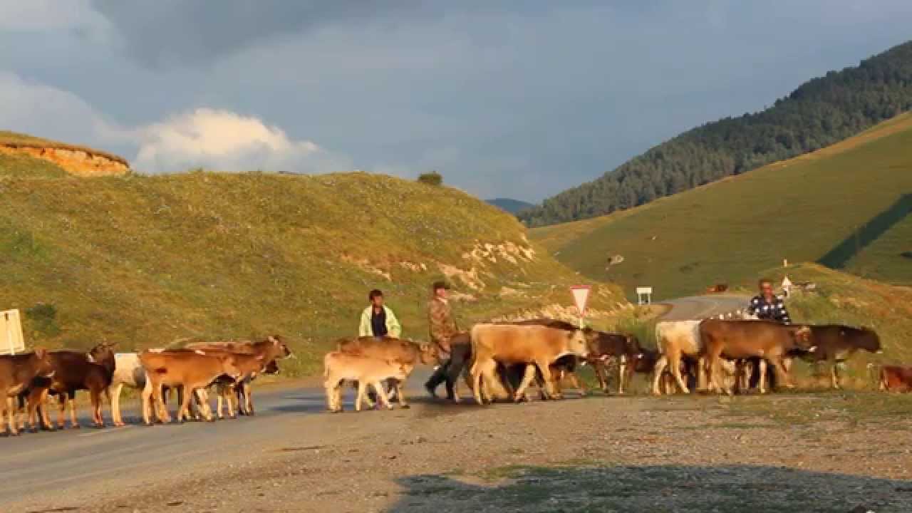 Գյուղ Թթուջուր Ttujur Ттуджур HD 1080