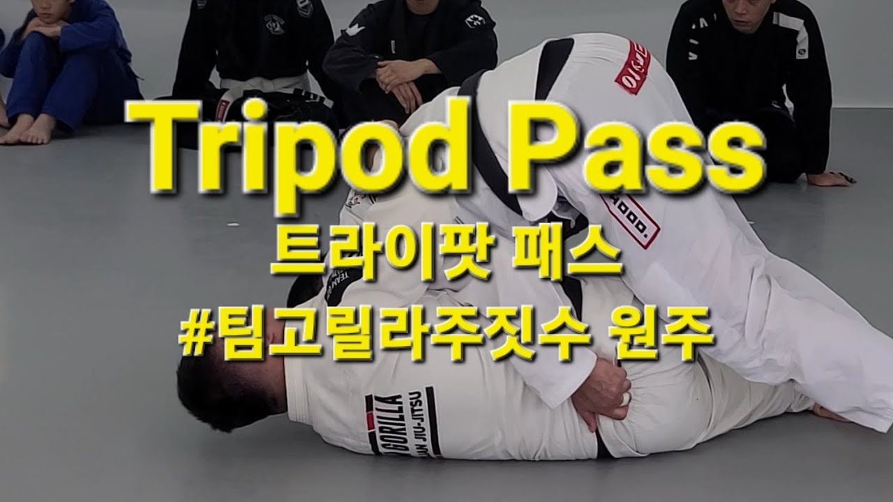 20250830 SHINCHONGORILLA SEMINAR 트라이팟 패스 Tripod Pass #트라이팟패스 #tripodpass #jiujitsuseminar