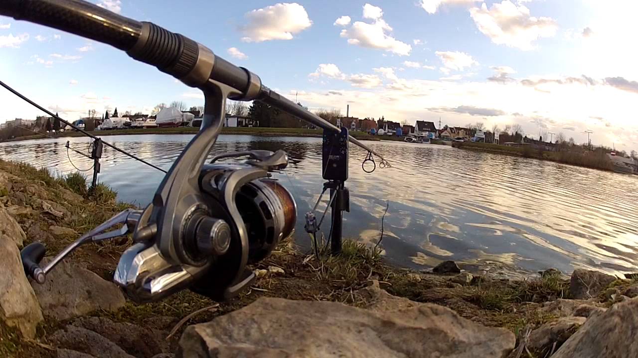 Carp Runs! / Freestyle-Fishing