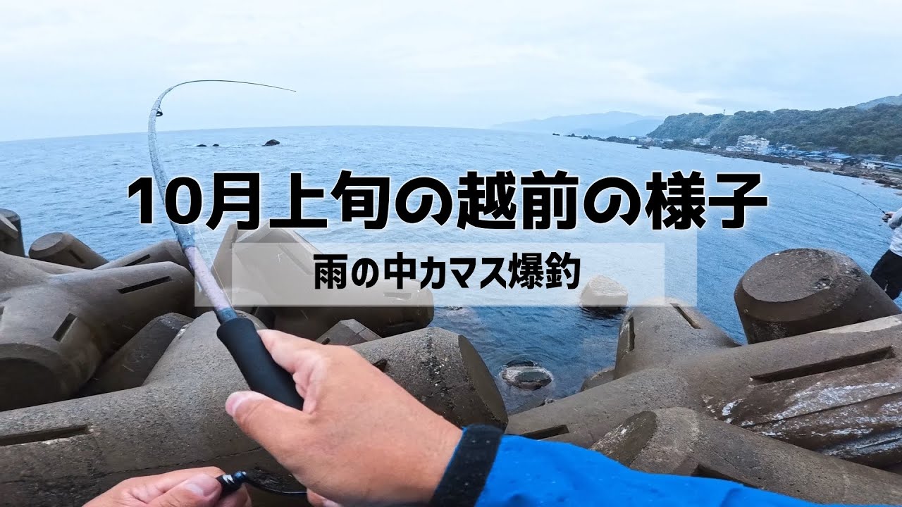10月上旬の越前の様子