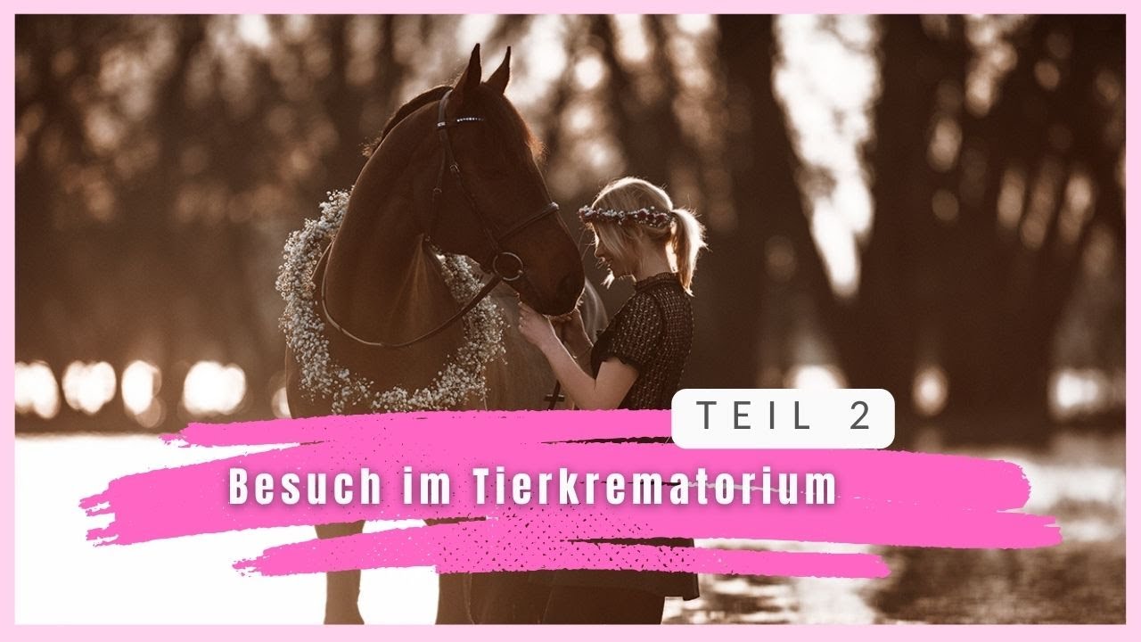 TEIL 2 Mein Besuch im Tierkrematorium I Wenn Tiere sterben I Traurig aber so wichtig