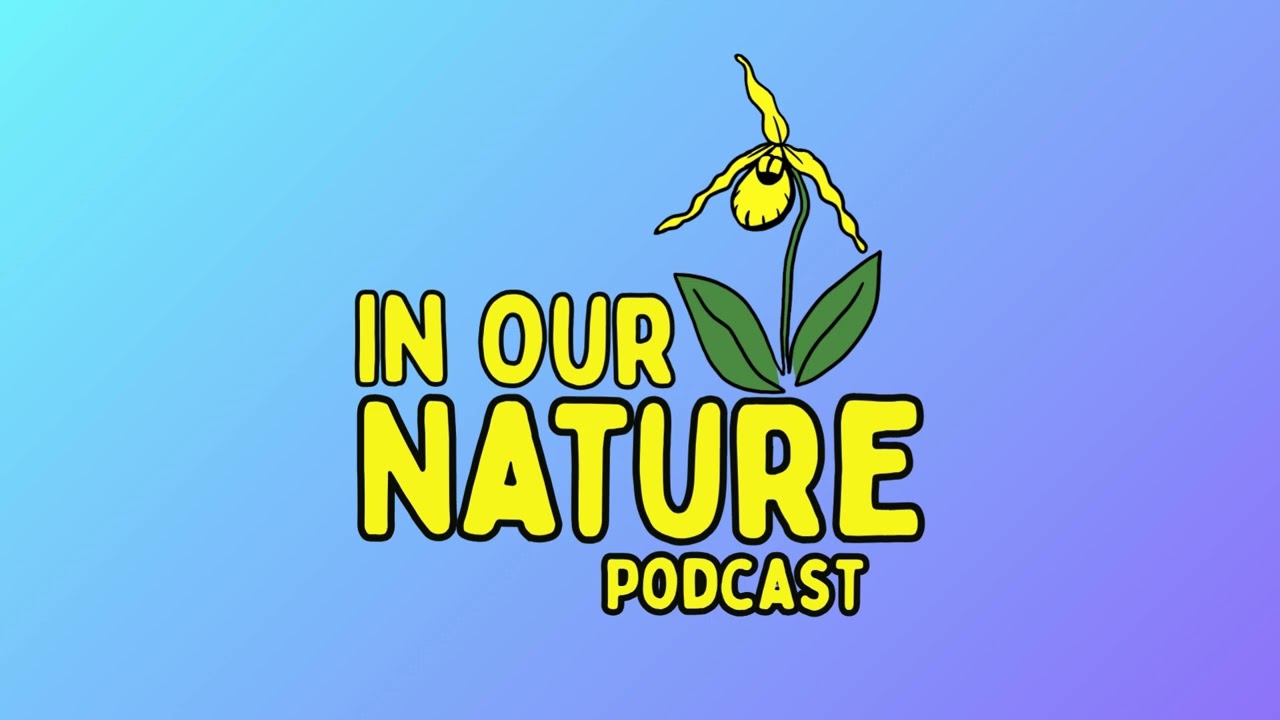 Jim Wilson on Point Lepreau Bird Observatory