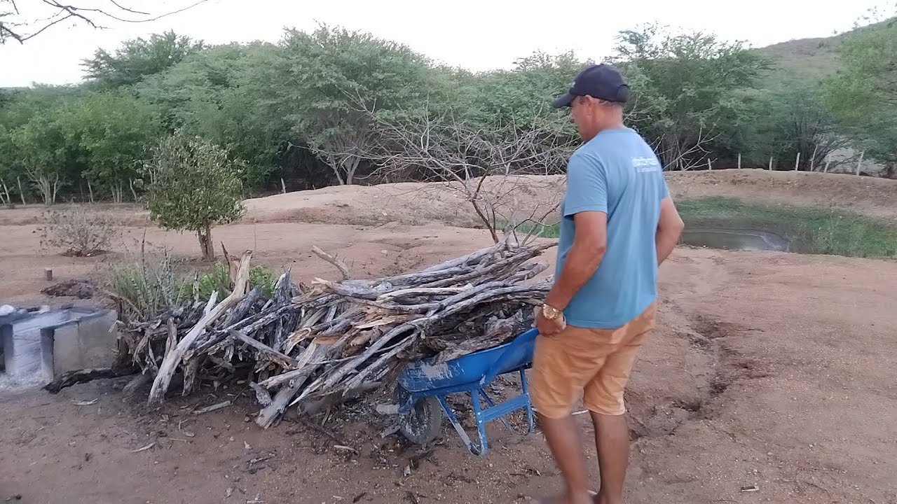 Nosso primeiro vídeo, fomos buscar lenha no mato