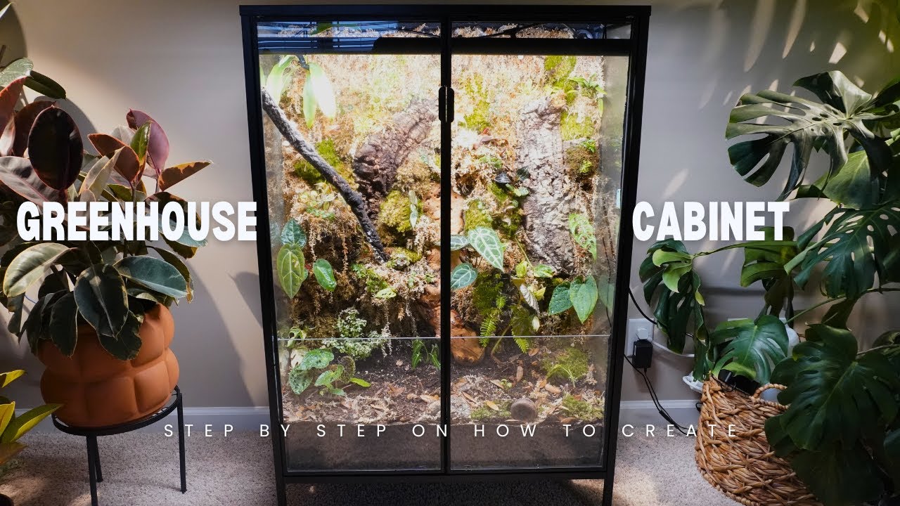 Creating a Bioactive Terrarium from an IKEA greenhouse cabinet