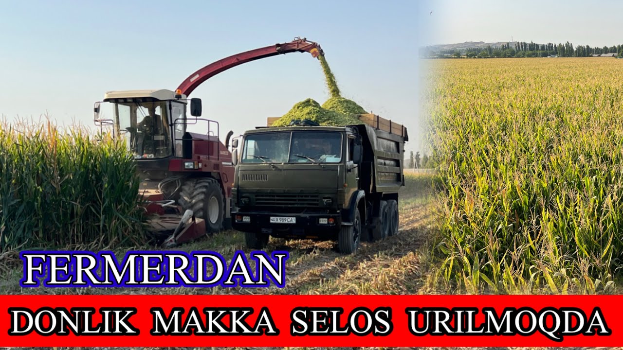 FERMADAN . DONLIK  SELOS  URILYABTI ,  KAMAZDA BOLIB OLAVERASIZ . 