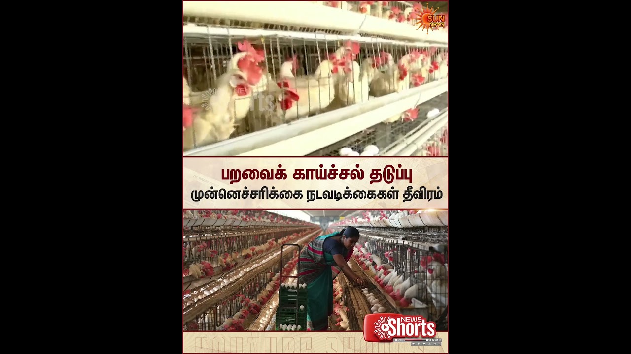 Bird Flu Alert | Tamil Nadu's Namakkal Poultry Farms Up Preventive Measures | Sun News