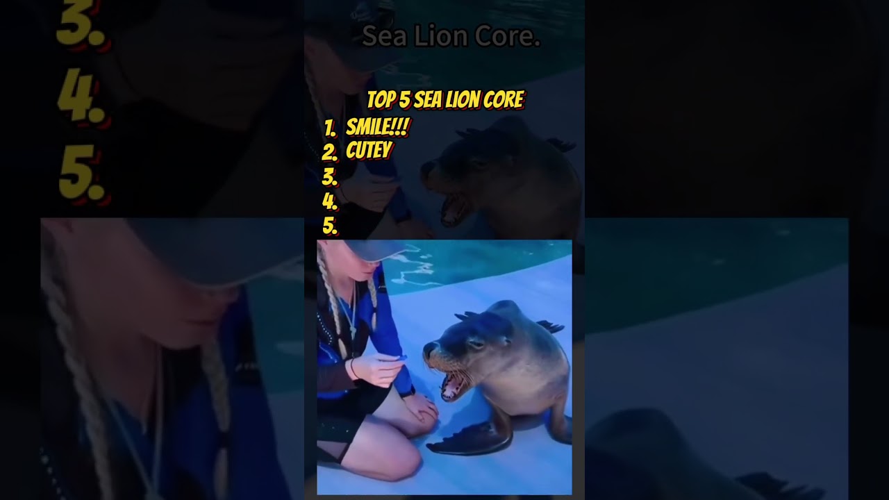 Top 5 sea lion funny moments part 2 #funnyanimals #sealions #fyusa
