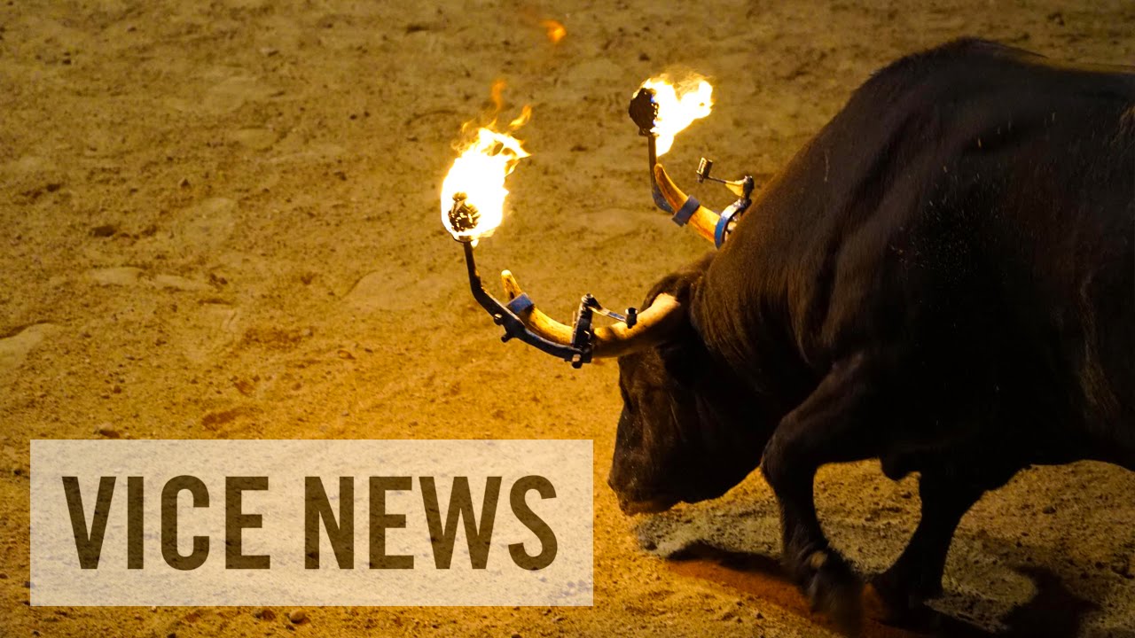 Toros en las calles de España: Animalistas vs taurinos