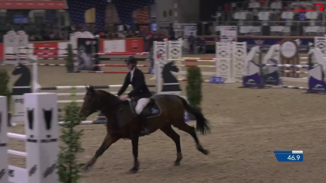 Rockit-K van 't Kattenheye - Lannoo Belgian Stallion Competition 2022