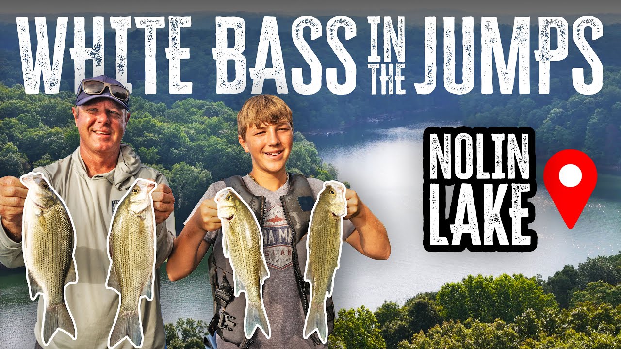 Non-Stop White Bass Fishing Action | Nolin River Lake