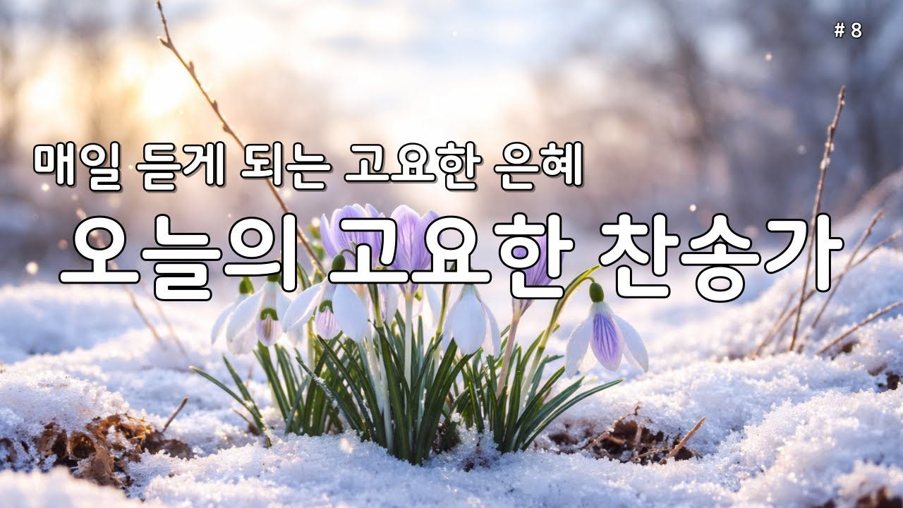 【 은빛찬송 | 깊은 위로 】매일 듣는 평안한 찬송가 모음 🕊️ 마음의 쉼을 주는 고요한 묵상·기도 찬양  8 #찬송가 #은혜찬송 #조용한찬송가 #찬송연속듣기 #새벽찬송 #보혈찬양