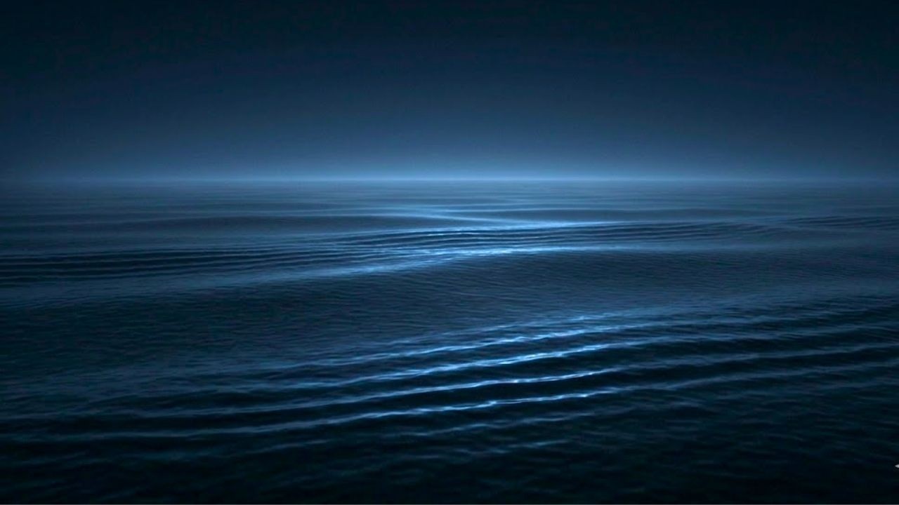Gentle Ocean Waves at Night 🌊 Calm Sleep Sounds for Relaxation, Stress & Anxiety Relief