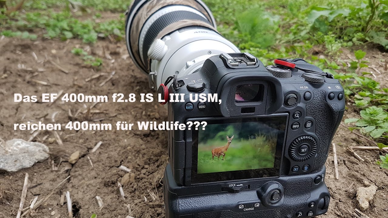 Das Canon EF 400 f2.8 IS L III USM und 400mm kaufen ja/nein???