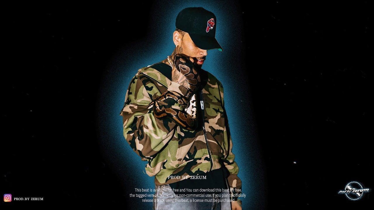 [FREE] Chris Brown x Ty dolla sign Type Beat - 