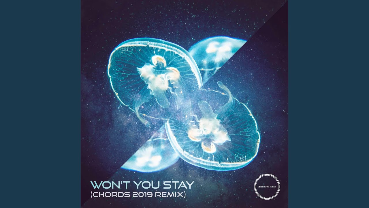 indivision & livewire feat tasha baxter - won't you stay (chords 2019 Remix)
