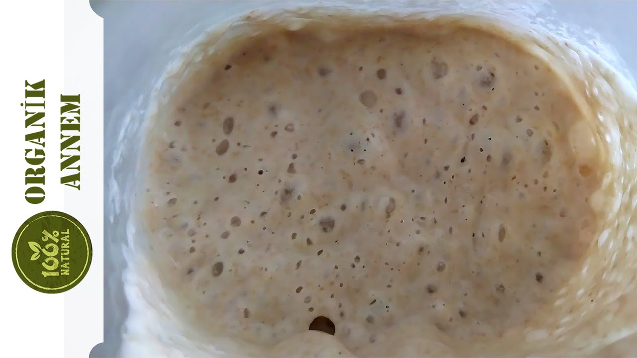 ÖN MAYA, OTOLİZ NEDİR? / OTOLİZ MAYALAMA NASIL YAPILIR? / PÜF NOKTALARI NELERDİR?