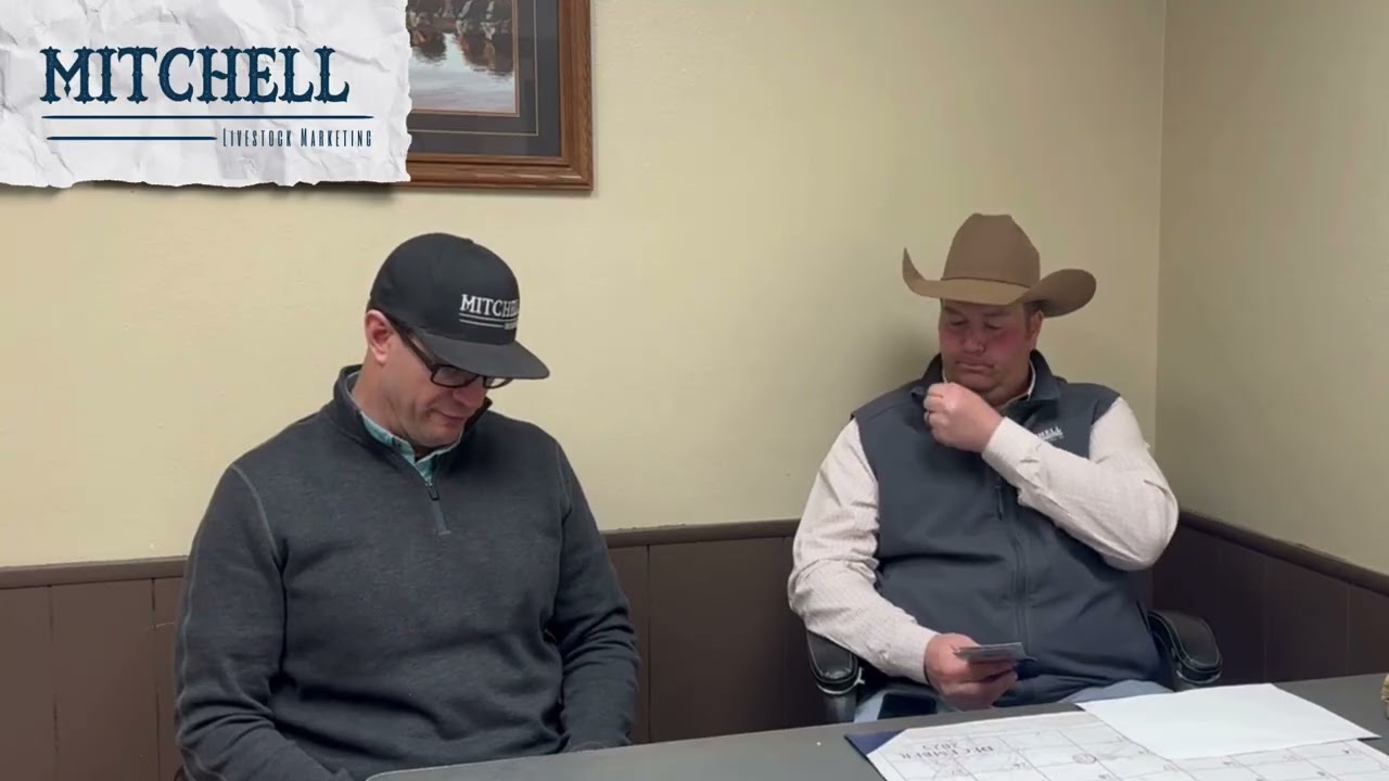 This week at Mitchell Livestock | March 11th, 12th, and 14th