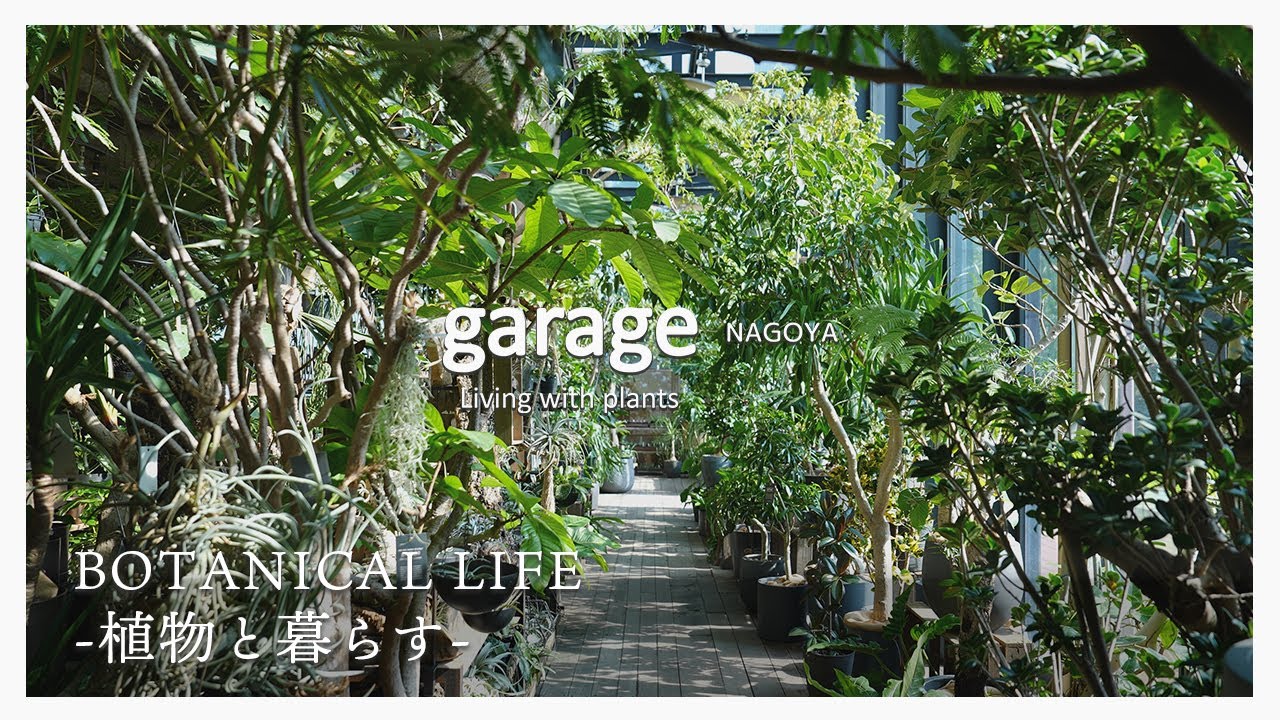 【観葉植物】「植物と暮らす」をアップデートする、名古屋に広がる植物のオアシス｜garage NAGOYA｜愛知県｜名古屋｜ささしまライブ｜グローバルゲート｜植物店巡り