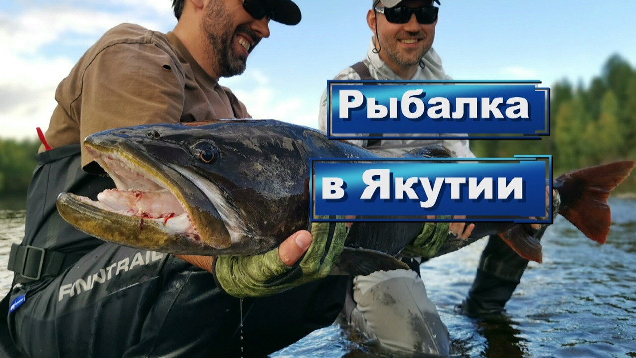 Горная рыбалка на Якутской реке (осень 2025) / Таймени, ленки, щуки, окуни/