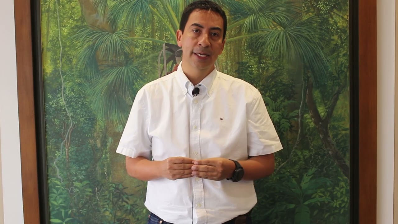 Gu&iacute;a de bolsillo: Reconocimiento de palmas de aceite h&iacute;brido OxG con anormalidades