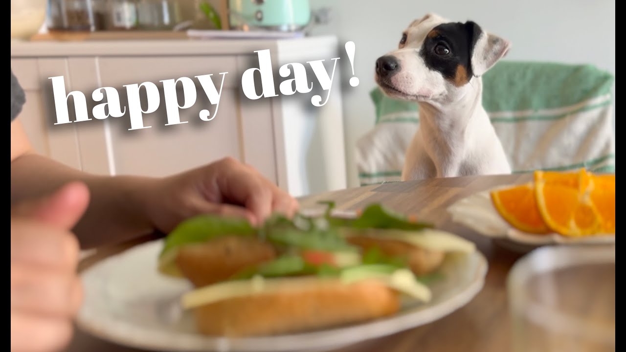 Slow morning / Scandinavian spring / life with a dog / Silent vlog Oslo