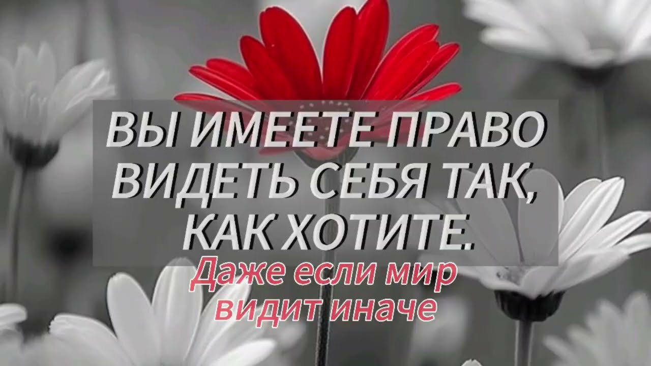 ✨ ВОСПРИЯТИЕ- ИНСТРУМЕНТ СОЗДАНИЯ СЕБЯ ЗАНОВО💫#женскаясила #внутренняяопора 