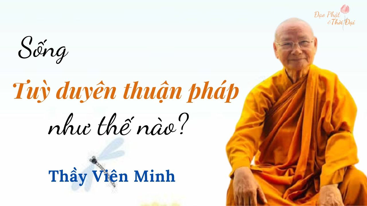 Sống Tùy Duyên Thuận Pháp như thế nào ? II Thầy Viên Minh