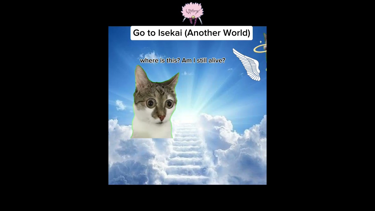 Meme cat 😭😭 #meme #funny #jk #cat #snk #attackontitanedit #isekai #anime