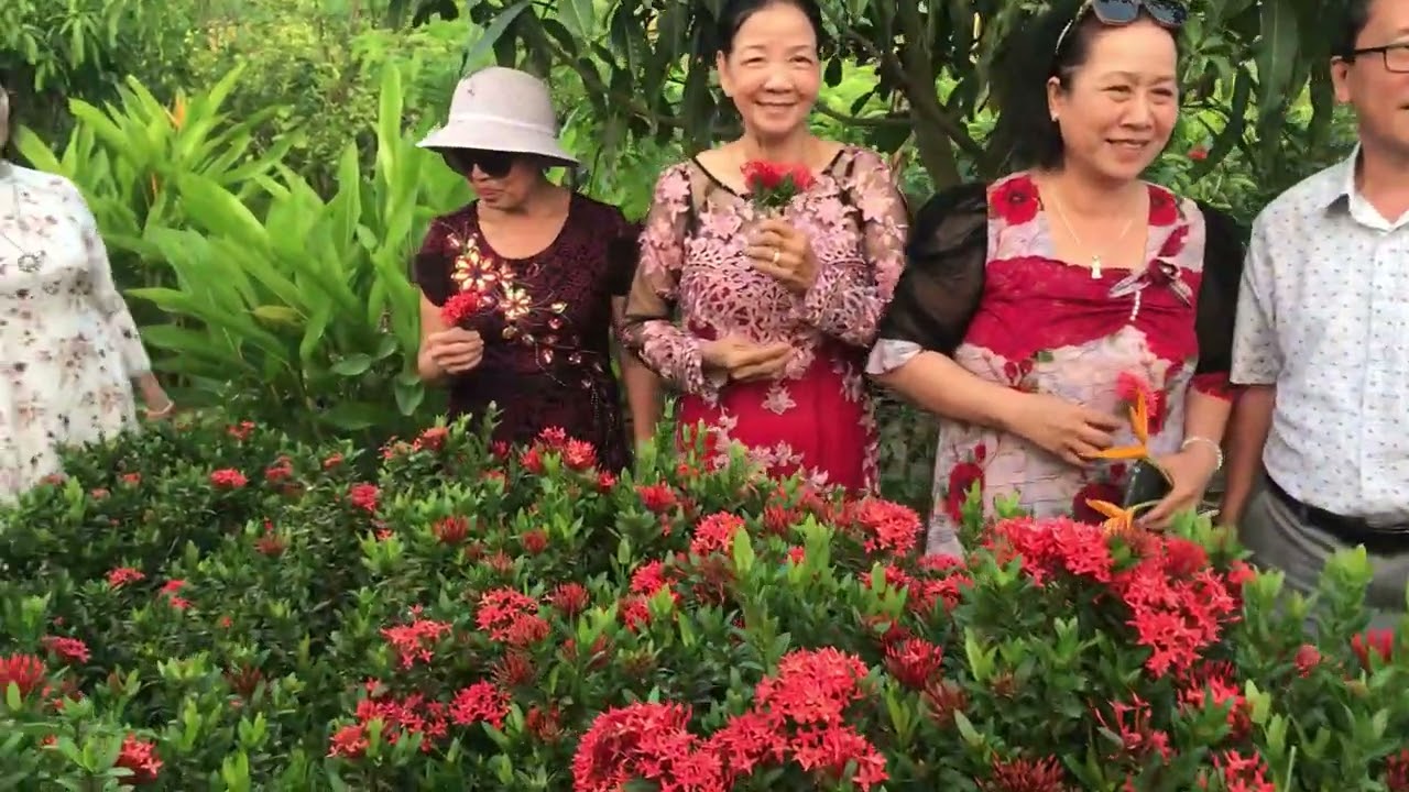 HợpBạn diễm giường qua