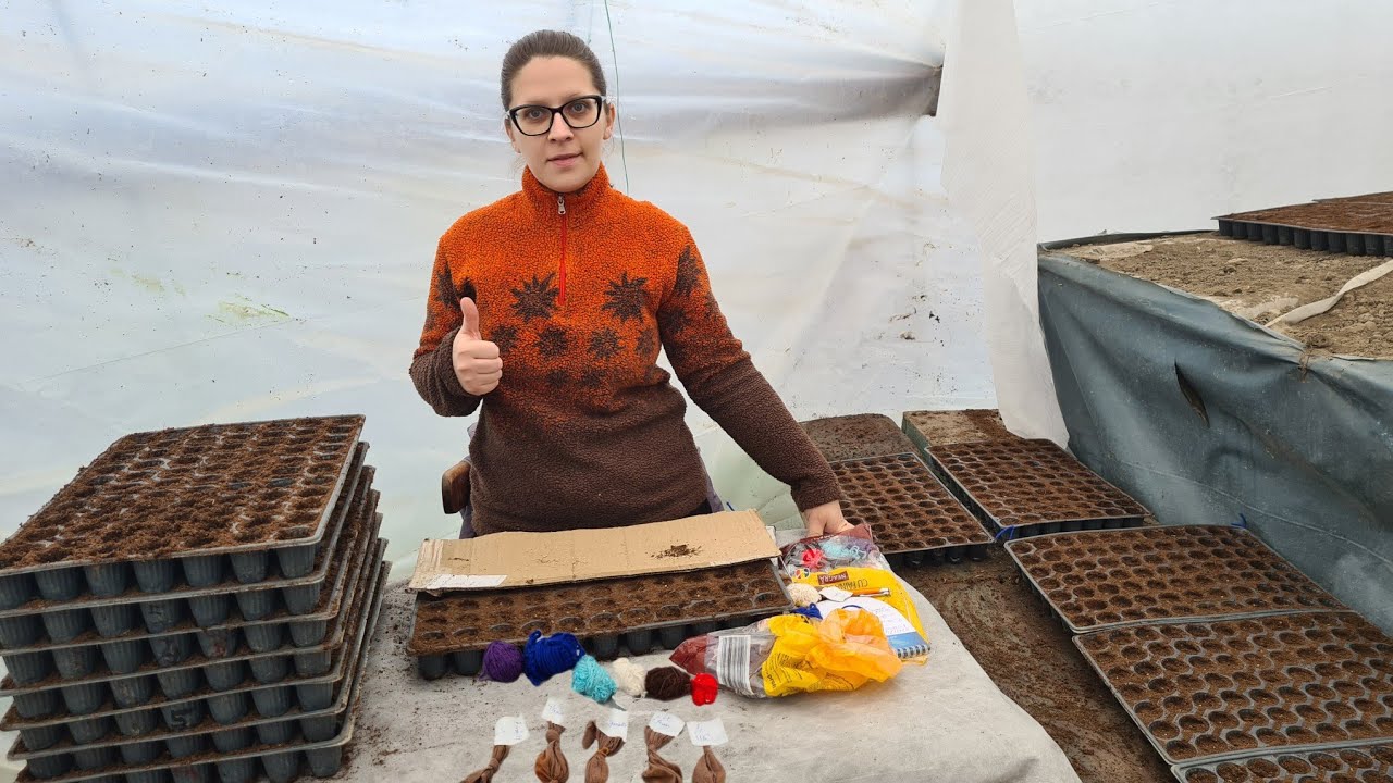 Informatii necesare despre rasaduri si conditiile optime de dezvoltare