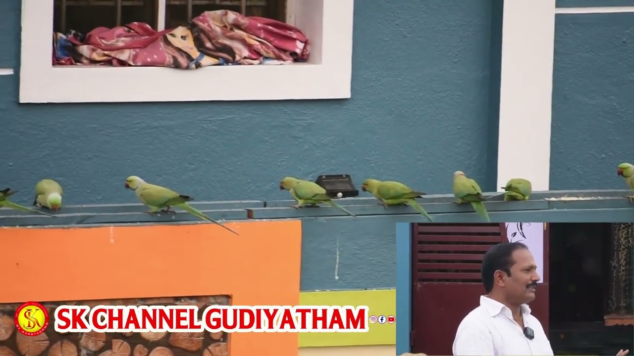 தினமும் பறவைகளுக்காக உணவு வைக்கும் மனிதன் – மனிதநேயத்தின் உண்மை முகம்