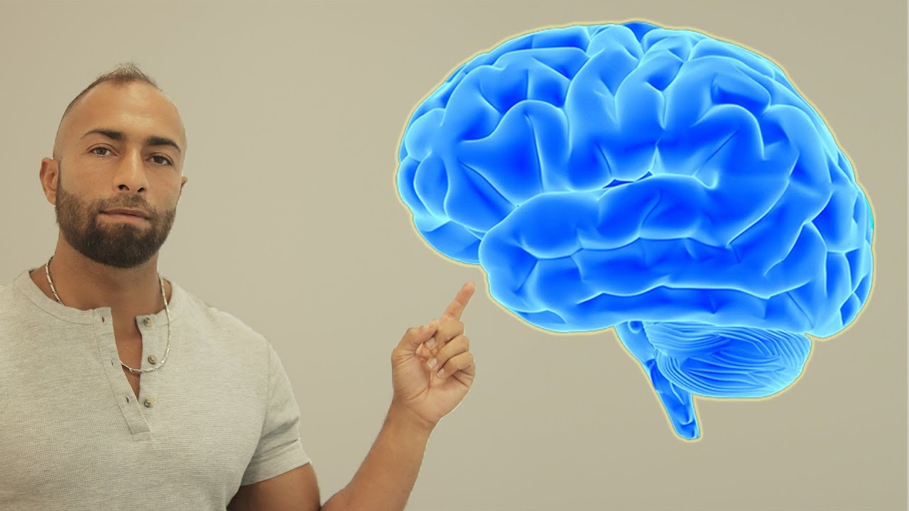 أفضل مكمل لزيادة التركيز و الذاكرة وقوة التحمل | ALPHA GPC