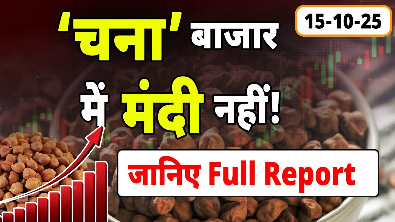 👉 चना में मंदा नहीं 🌾 | Chana Price Today | Pulses Market Update