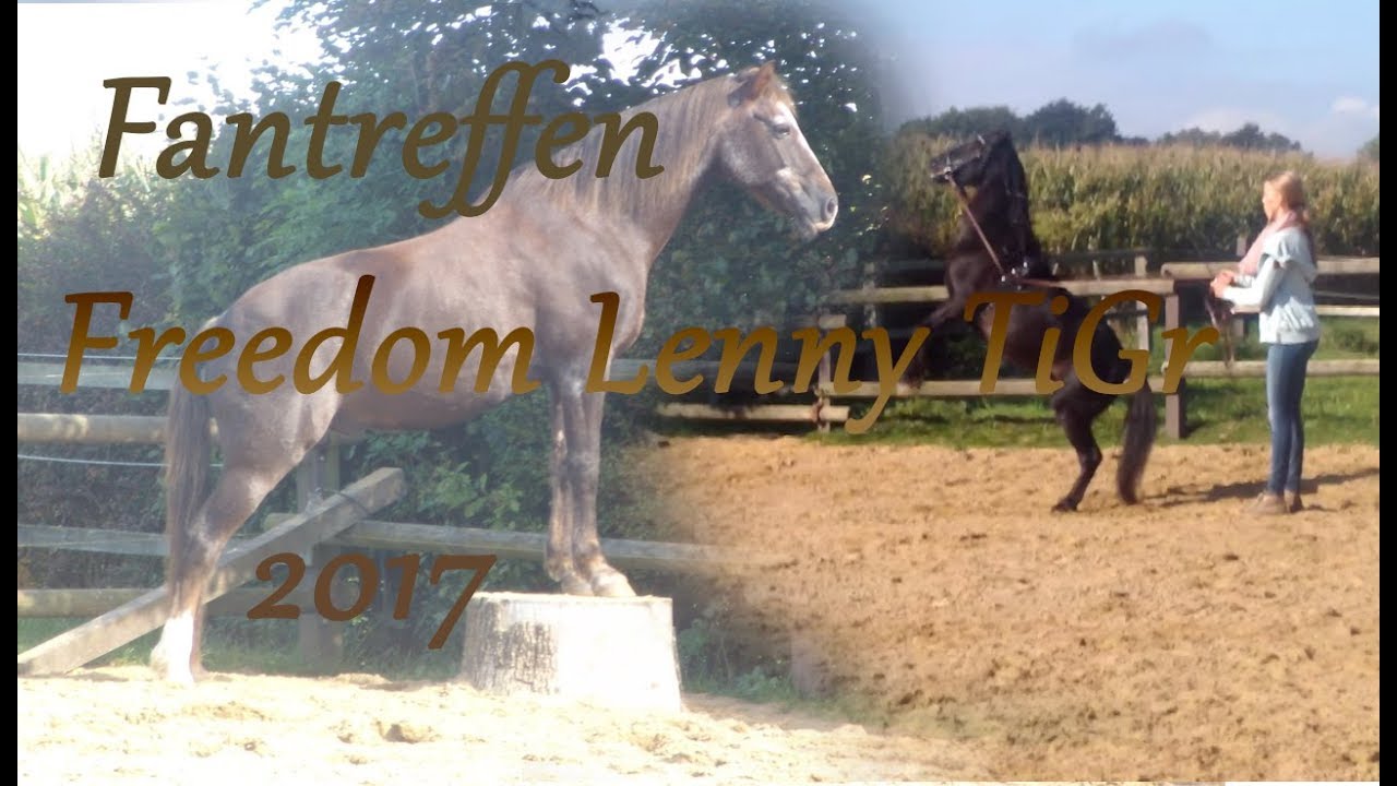 👭👭👭👭 Fantreffen Freedom Lenny TiGr || 24.09.2017 || Freiarbeit