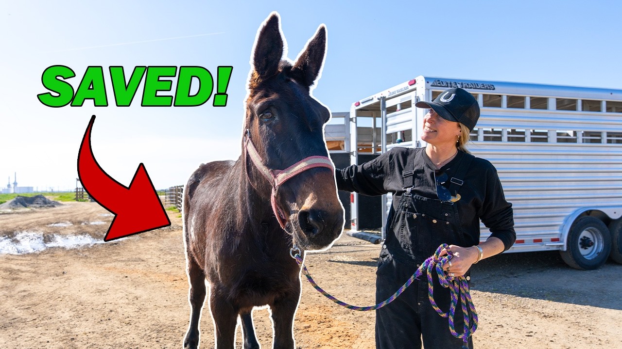 Guess Where We Found Him! | Ep 94