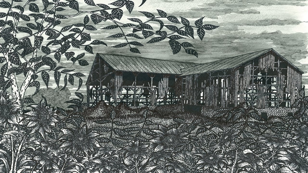 My Ink Drawings