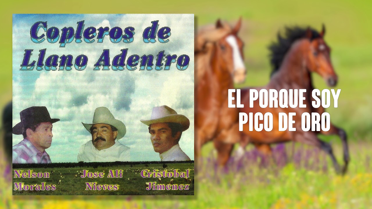 El Por que Soy Pico De Oro - Jos&eacute; Ali Nieves | Cover Audio | M&uacute;sica Llanera